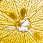 meal prep healthy food