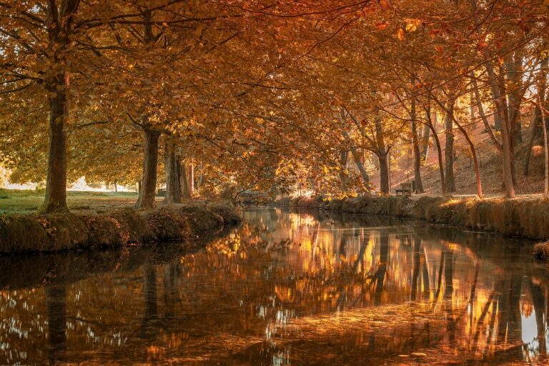 pasti facili duranti la settima