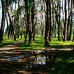 ricette per famiglie