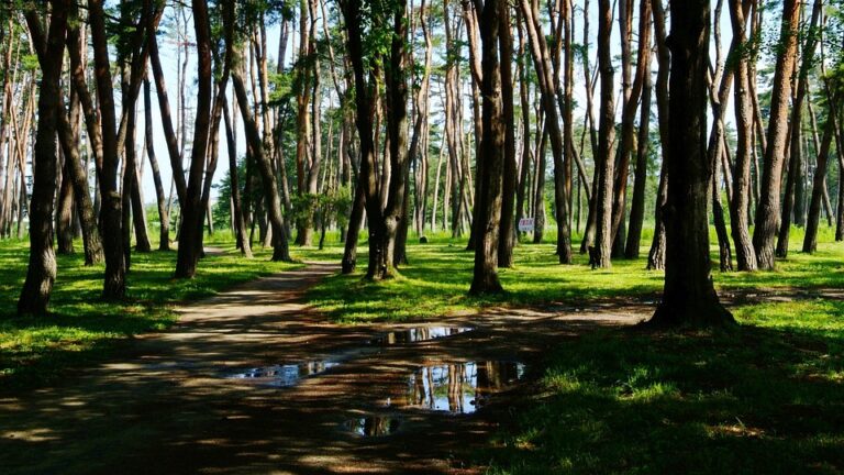 ricette per famiglie